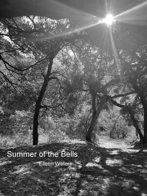 cover image of Summer of the Bells